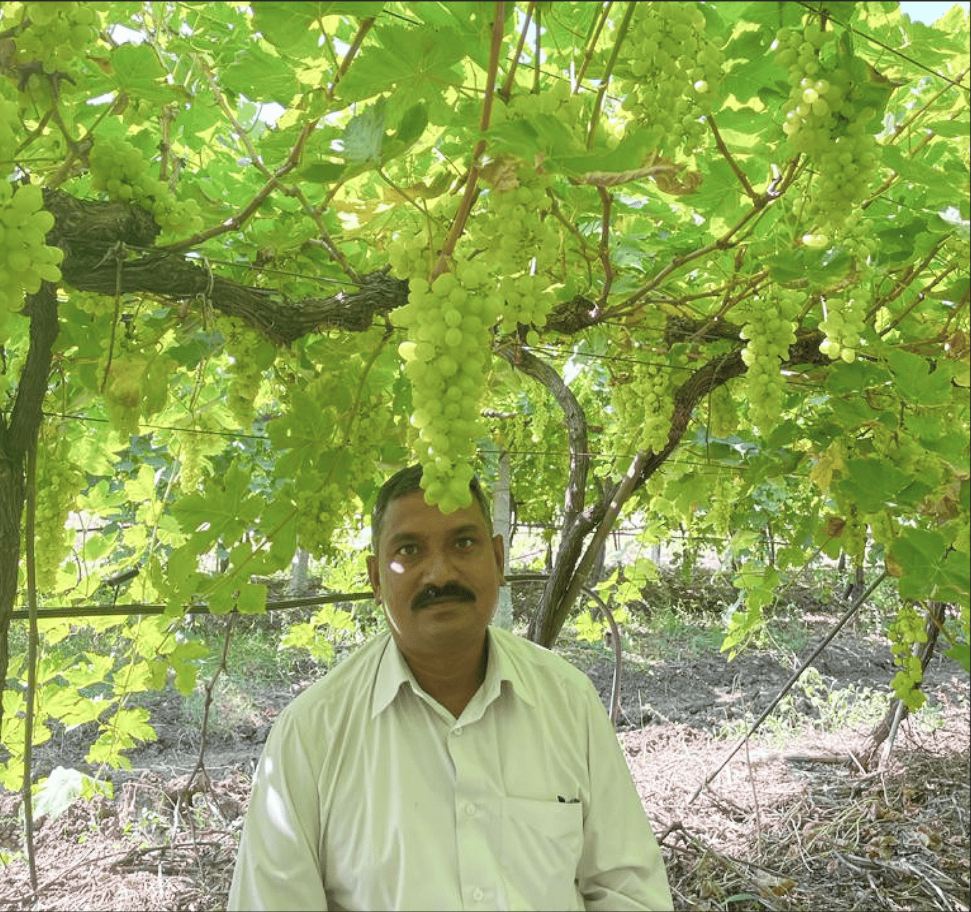 Mr. Prakash Chinagundii