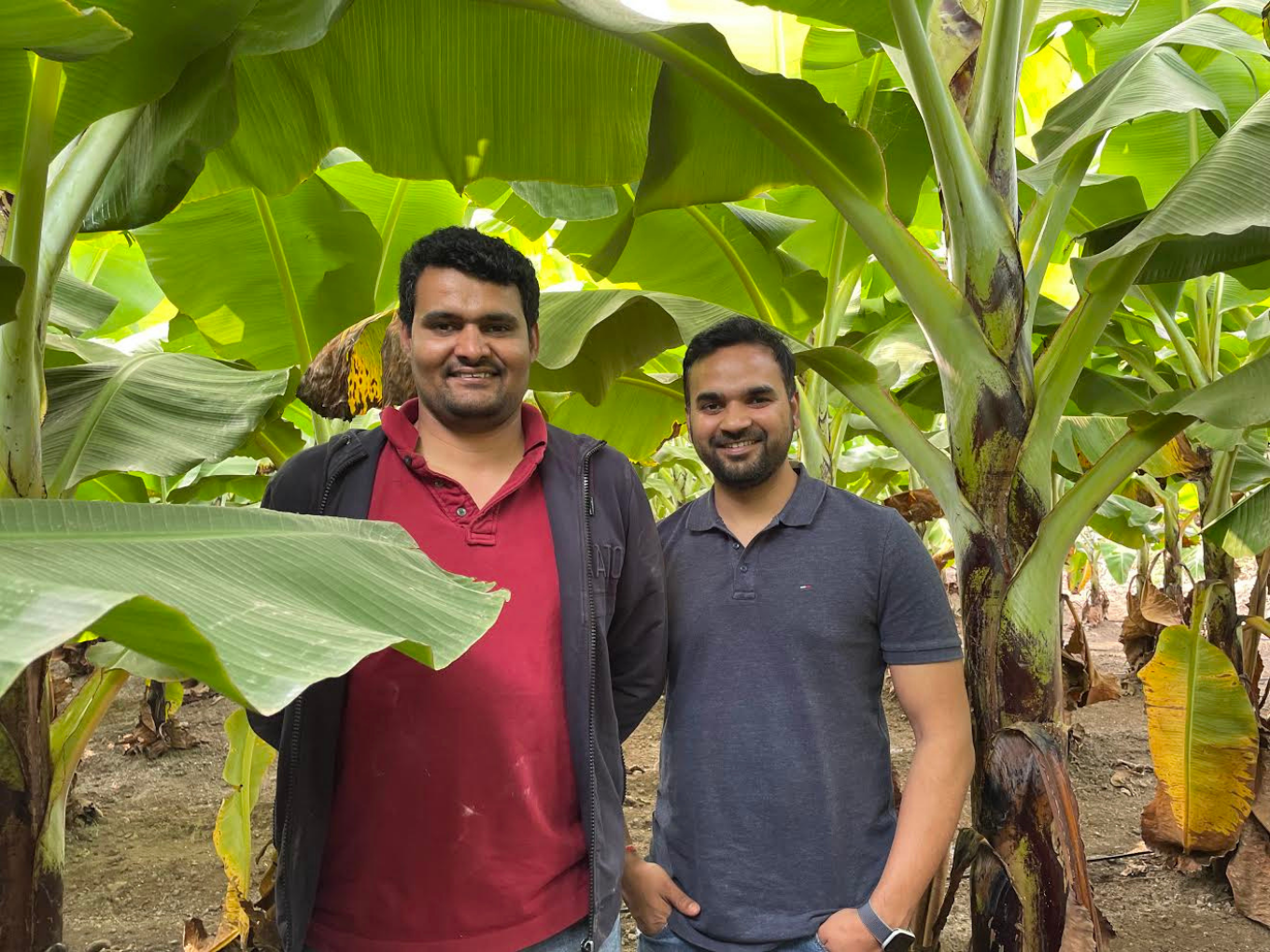 Agritech Startup Fyllo Secures Funding Led By Triveni Trust, Ninjacart, IAN