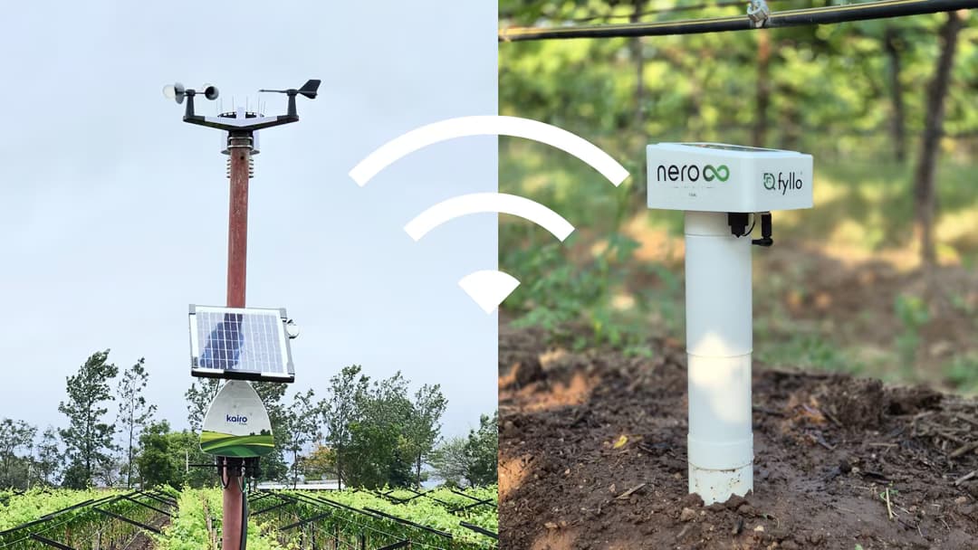 Fyllo Nero and Kairo precision agricultural sensors installed in crop field