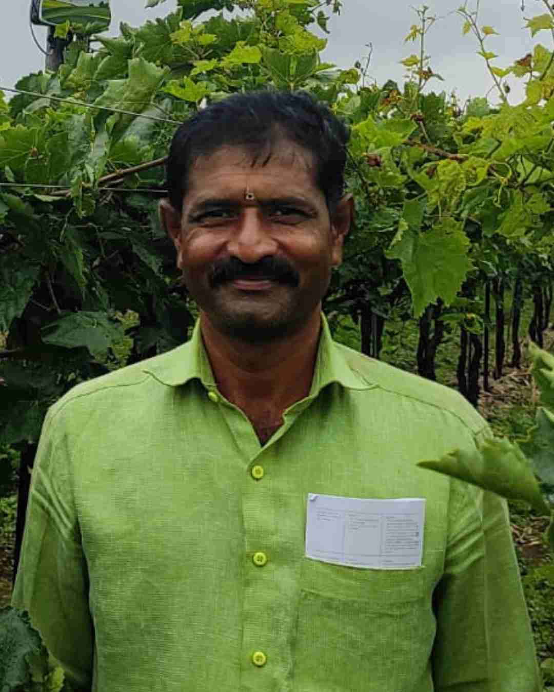 Portrait of Fyllo customer farmer showing crop yield success
