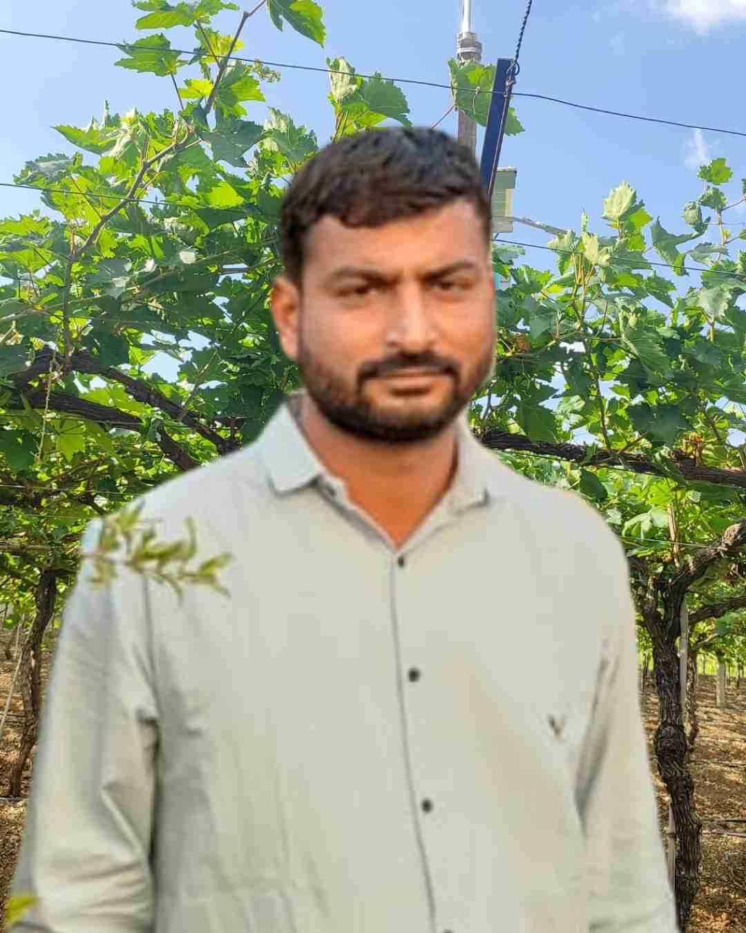 Portrait of Fyllo customer farmer showing crop yield success
