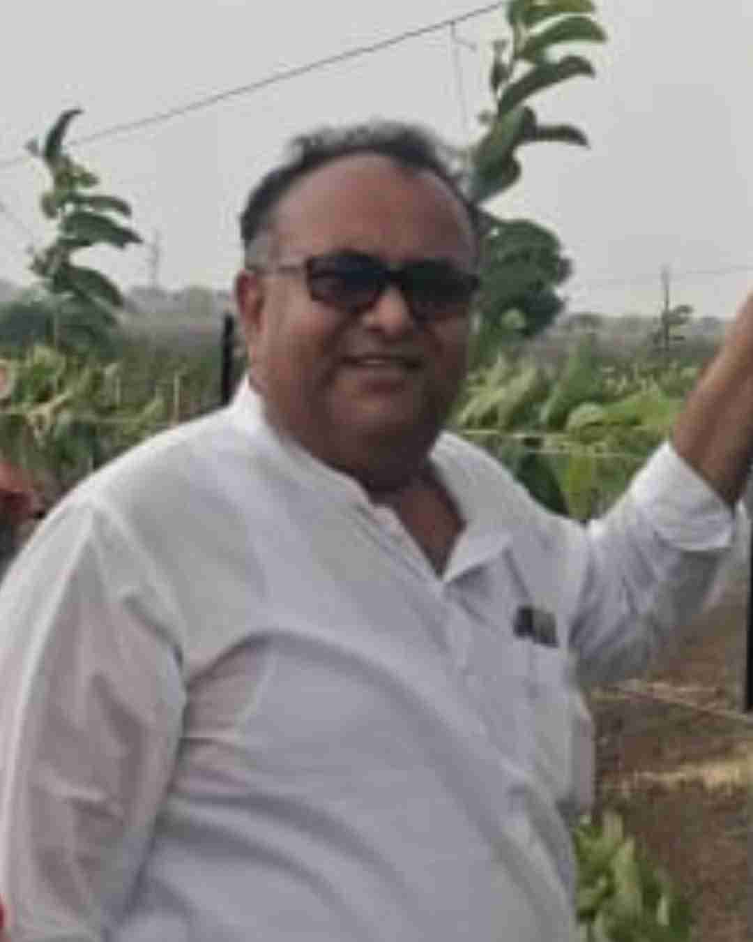 A happy papaya farmer standing next to a papaya tree loaded with fruits.