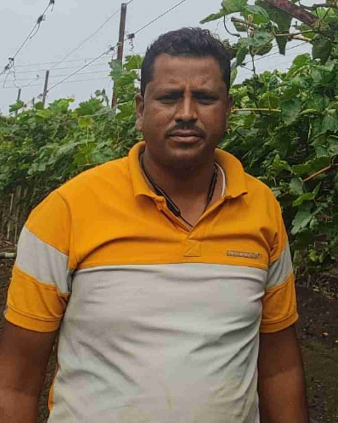 Portrait of Fyllo customer farmer showing crop yield success