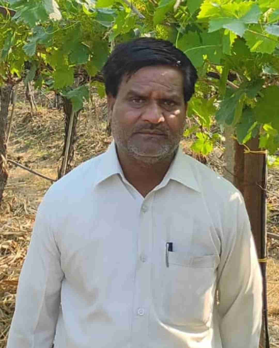 A citrus orchard owner smiling next to orange trees in Nagpur.