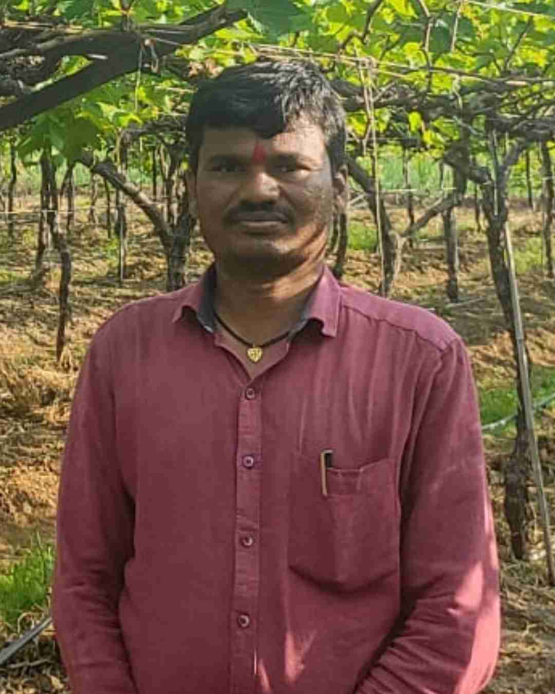 Portrait of Fyllo customer farmer showing crop yield success