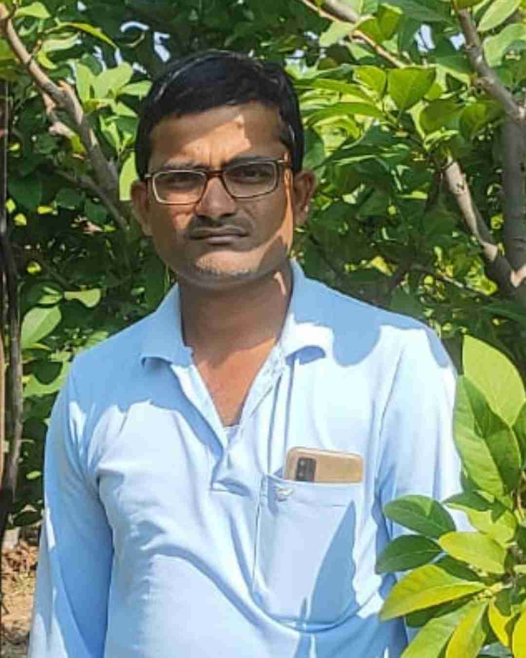 A cotton farmer displaying high-quality cotton bolls on a farm in Gujarat.