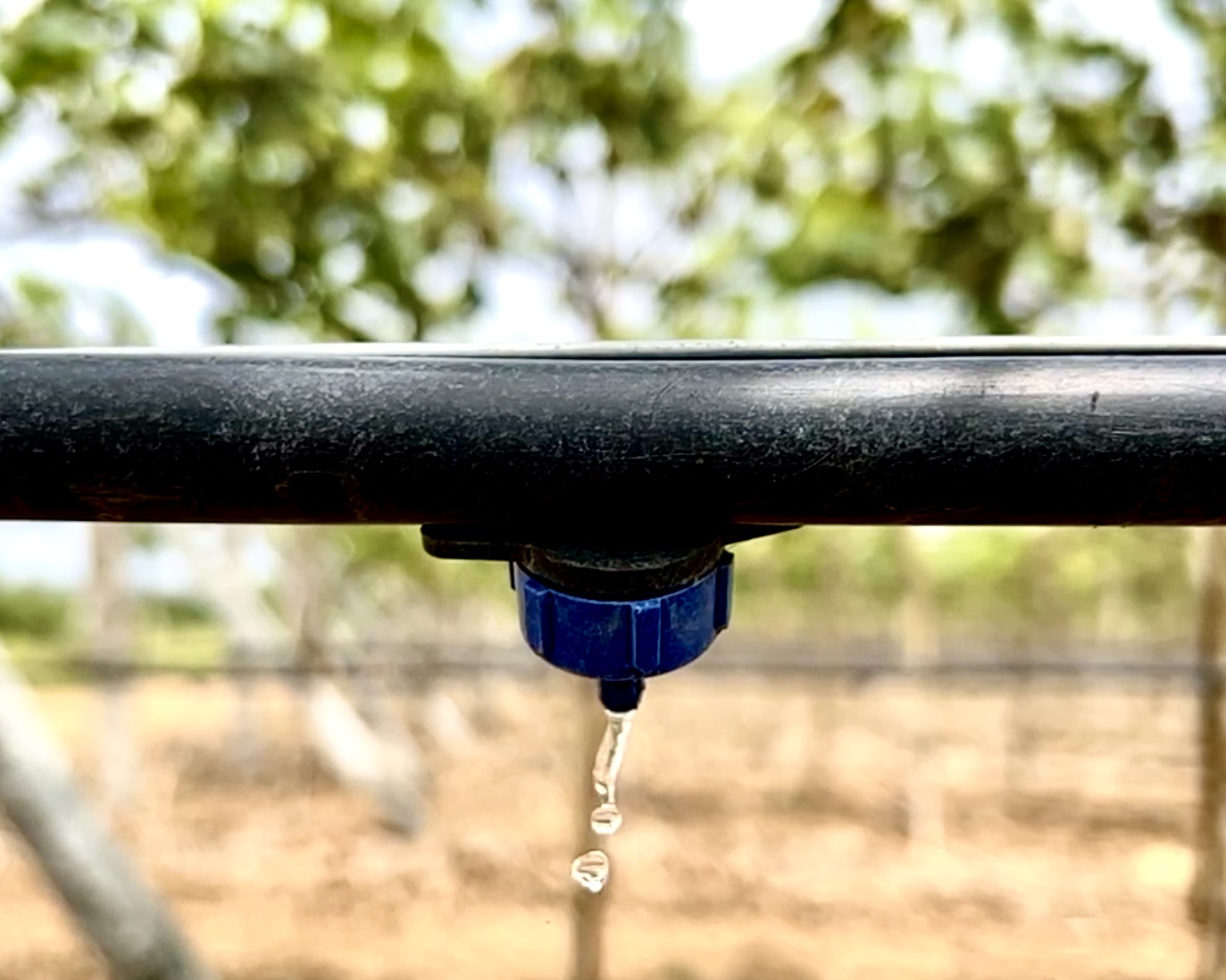 Drip Irrigation Companies