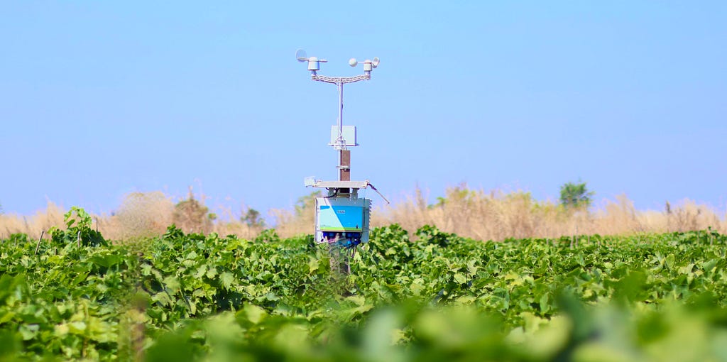 5 Reasons Why Precision Agriculture is Vital for Today’s Farming