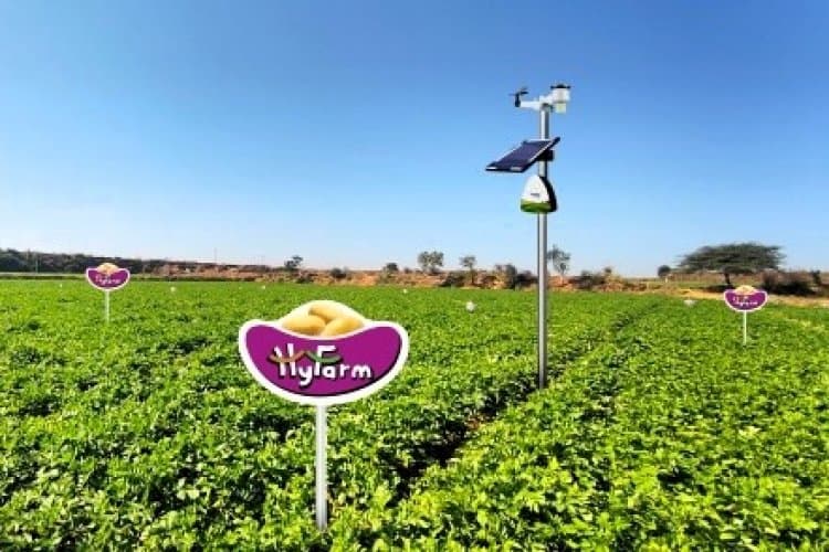 HyFarm and Fyllo Collaborate to Drive AI and IoT-Powered Precision Farming for Potato Cultivation
