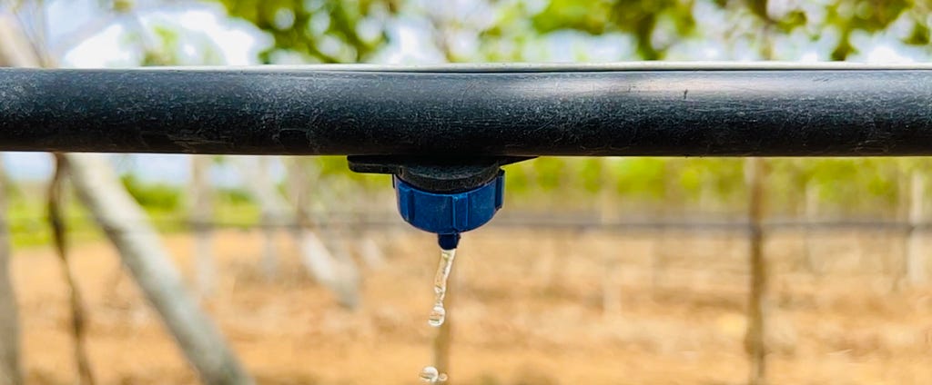 Precise Irrigation in Action
